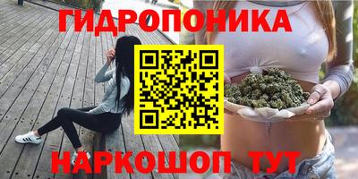 прущие грибы Ливны