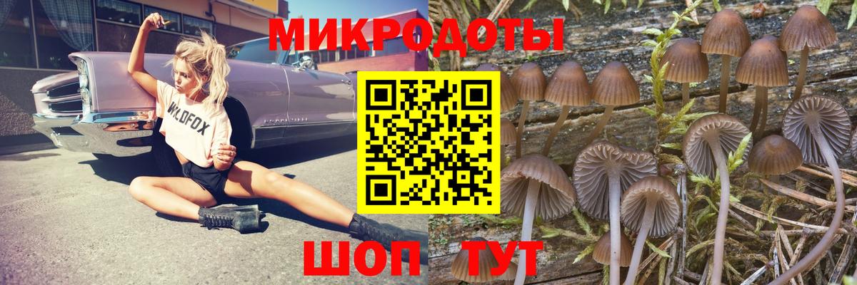 Галлюциногенные грибы Cubensis  Псилоцибиновые грибы мухоморы  Вход с VPN  Елизово 