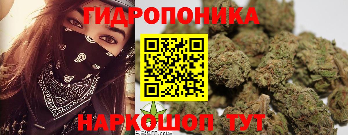 Конопля конопля Елизово